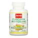 Jarrow Formulas Curcumin Phytosome 500mg 60 Vegan Capsules Lab Tested SOYA Free Gluten Free Vegetarian Non GMO