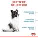 Royal Canin X-SMALL Puppy | 500g | Dry food for very small breed puppies | May contribute to the normal functioning of the immune system | With omega-3 - Buy Online on GoSupps.com