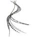 XXL 11-13 Real Feather Hair Extensions x7 + Rings & Loop - Grizzly Feathers - Buy Online on GoSupps.com