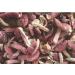 WENXUANSU:1 Pound (454 grams) Red Mushroom Dried Russula from Yunnan China