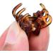 12PCS Mini Small Plastic Hair Clips Claws Pins Clamps Hairpin for Girls Kids Women Coffee Color - Buy Online on GoSupps.com