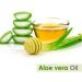 Salvia Aloe Vera (Aloe Barbadensis) Pure Natural Oil (15 ml with Dropper) Aloe Vera 15 ml (Pack of 1) - Buy Online on GoSupps.com