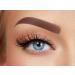 Melody Lashes - High-Quality Reusable Natural Eyelashes for Everyday and Special Occasions | Shop Now! - Buy Online on GoSupps.com