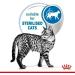 Royal Canin Indoor Sterilised in Jelly Adult Wet Cat Food 85g (Pack of 48) - Buy Online on GoSupps.com