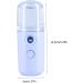 BIUDECO 1pc Portable Humidifier Face Mister Sprayer Cool Facial Mister Hydrating Instrument Miss Plastic Usb 14.5X4CM Blue - Buy Online on GoSupps.com