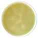 Alaska Devil's Club Salve - Natural Herbal Pain Relief for Relieving Soreness and Discomfort - Buy Online on GoSupps.com
