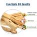 Palo Santo (Bursera graveolens) Essential Oil 100% Pure & Natural - Undiluted Uncut Cold Pressed Aromatherapy Premium Oil - Therapeutic Grade - 30 ML Palo Santo 30 ml (Pack of 1) - Buy Online on GoSupps.com