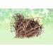 Bargad Ki Dadhi-Banyan Aerial Roots-Raw Herbs-Bar Ki Dari-Badh Ki Dadhi-Jadi Booti-Single Herbs (100 Gram) - Buy Online on GoSupps.com