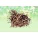 Bargad Ki Dadhi-Banyan Aerial Roots-Raw Herbs-Bar Ki Dari-Badh Ki Dadhi-Jadi Booti-Single Herbs (100 Gram)