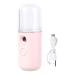 FOMIYES 1pc Portable Humidifier Mini Humidifier Mini Facial Sprayer Face Hydrating Instrument 14.5X4CM Pink