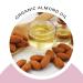 Organic White Ginger & Amber Body Butter - Vegan, Cruelty-Free, 24hr Hydration | Reduces Stretch Marks, Eczema | Baby Friendly | 8 oz - Buy Online on GoSupps.com