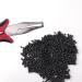 800pcs Black Silicone Lined Nano Rings for Nano Tip Hair Extensions - Micro Nano Beads - Buy Online on GoSupps.com