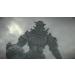 Buy Noname Shadow of the Colossus - International Shipping Available | Best Price & Fast Delivery - Buy Online on GoSupps.com