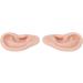 Ear Models Easy to Wear Soft Silicone Reusable Human Ear Models 1 Pair for Ear Piercing Practice (Medium Skin Color) - Buy Online on GoSupps.com
