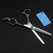 Hair Cutting Scissors 6 Inch Professional Japan 440c Retro Phoenix Hair Scissors Set Cutting Barber Makeup Makas Thinning Shears Hairdressing Scissors - Buy Online on GoSupps.com