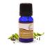 SVATV cardamom essential oil aromatherapy in therapeutic quality fragrance oil for diffusor yoga massage & diy body care 10 ml cardmom