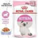 Royal Canin Kitten in Jelly Wet Cat Pouches 85g (Pack of 12) - Buy Online on GoSupps.com