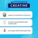 BodyTech Creatine & Glutamine with Beta Alanine Unflavored 10.8oz - Pack of 1 - Buy Online on GoSupps.com