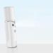 Mini Humidificateur Portable USB 20 Ml Blanc L3 Pulv risateur de Brume Nano Hydratant Peau Diffuseur D'air pour Bureau et Soin du Visage Vaporisateur Compact pour Maison - Buy Online on GoSupps.com