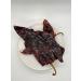 AKNA Dried Guajillo Chili Authentic Whole Mexican Chili Peppers 170g Vacuum Pack - Buy Online on GoSupps.com