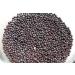 Organic Black Mustard Seeds (100g) - Premium Quality for Cooking & Seasoning - Buy Online on GoSupps.com
