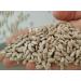 Premium 3 kg Sunflower Seeds - Shelled Raw Gluten-Free Fresh Bakery Quality - International Shipping Available - Buy Online on GoSupps.com