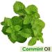 Buy Pure Cornmint Oil (Mentha arvensis) - 15ml Essential Oil | Natural & Undiluted for International Shipping - Buy Online on GoSupps.com