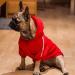 Ducomi 100% Cotton Dog Sweatshirt - Warm Monochrome Coat for Dogs of All Sizes (XS to 9XL) - Stylish Red Sweater for Small & Large Breeds - Buy Online on GoSupps.com