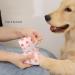 Anampion Self-Adhering Bandage - 5cm x 4.5m Non-Woven Adhesive Bandage for Humans & Animals | Flexible Self-Adhesive for Ankle Swelling | 12 Rolls in 12 Color Mix - International Shipping Available - Buy Online on GoSupps.com