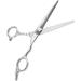Stainless Steel Hair Scissors Hair Thinning Scissors Cutting Shear Professional Hair Cutting Scissors Cutting Styling Hair Hairdressing Shear Hair Shears Scissor for Family Salon Barber(Regulate Scissor) - Buy Online on GoSupps.com