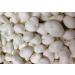 OliveNation Yogurt Covered Raisins 32 ounces 2 Pound (Pack of 1)