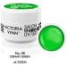Buy VICTORIA VYNN Art Gel 3D 08 Creamy Green - 5 ml Solid Color for Nail Art | International Shipping - Buy Online on GoSupps.com