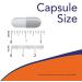 Now Foods DMAE 250 mg - 100 Vegan Capsules for Enhanced Focus & Memory - Buy Online on GoSupps.com