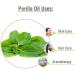 Perilla Leaf Oil | Pure Natural and Cold-Pressed Oil | Skincare (Moisturise & Nourish Skin) | Hair Care & DIY Homemade Skincare - 15ML Perilla 15 ml (Pack of 1) - Buy Online on GoSupps.com