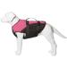 Stunt Puppy Float Doggy Life Jacket - Small Pink | Best Dog Life Vest for Safe Water Fun - Buy Online on GoSupps.com