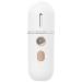 Vaporisateur Nanom trique Hydratant Visage Appareil Beaut Portable Blanc Pulv risateur Facial Compact Brume Fine pour Soins Quotidiens et Voyage R servoir Longue Dur e