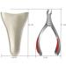Nail Clippers Nail Clippers Foot Care Tools Professional Stainless Steel Keratin Removal Scissors C2 - Buy Online on GoSupps.com