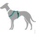 HUNTER Vario Rapid Harness 48-70 cm - Adjustable Petrol for Stylish & Comfortable Pet Travel | International Shipping Available - Buy Online on GoSupps.com