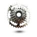 DRIFT MANIAC E-Bike Freewheel 7 Speeds 11-28/11-34T Teeth EPOCH 7S-11-34T