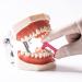 Buy Dental Interproximal Reduction Enamel Strips | Reusable Orthodontic IPR/IR Strips for Polishing - International Shipping Available - Buy Online on GoSupps.com