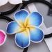LEORX 12pcs Colorful Plumeria Hair Ties - Soft Ceramic Flower Hair Accessories - Buy Online on GoSupps.com