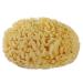 Natural Sea Sponges for Bathing Greek Mediterranean Large Honeycomb Sponge Bath Tools Yellow 5 Inches Plus