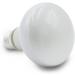Terra Exotica 75W Heat Spot Bulb for Reptiles - 3 Pack Terrarium Lighting - Optimal Heat for Reptile Habitats - 25W 40W 60W 100W 150W Options Available - Buy Online on GoSupps.com