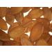 Bremer Gew rzhandel Styrian Pumpkin Seeds 500g - Premium Peeled Medicinal Seeds from Styria for Health and Flavor - Buy Online on GoSupps.com