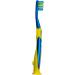 Colgate Dinosaur Toothbrush for Kids 2-5 Years - Pack of 6 | Extra Soft Bristles with Suction Cup - Buy Online on GoSupps.com