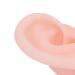 Soft Silicone Human Ear Model - 1 Pair Flexible & Simulated for Hospital Display - Buy Online on GoSupps.com