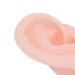 Soft Silicone Ear Models - 1 Pair | Flexible & Simulated for Hospital Display & Learning - Buy Online on GoSupps.com