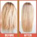 Difeel Premium Castor + Vitamin E Hair Oil - 2.5 oz | Pro-Growth & Anti-Frizz Formula - Buy Online on GoSupps.com