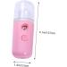 CANIGHT 2pcs Skin Moistener Face Humidifier Mini Portable Humidifier Hand Humidifier Air Diffuser Mist Spray - Buy Online on GoSupps.com