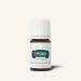 Buy Young Living Peppermint Vitality Essential Oil - 100% Pure 5ml for Culinary & Aromatherapy Use - Buy Online on GoSupps.com